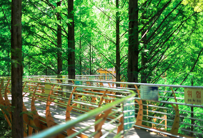 Jangtaesan Natural Recreation Forest img