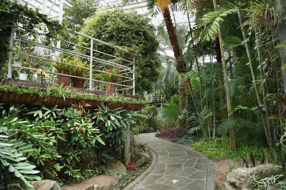 Hanbat Arboretum 09