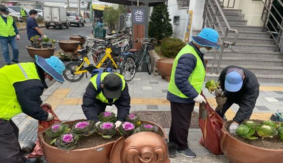 2022년 아름다운 꽃 도시 조성을 위한 계절 꽃 식재 이미지
